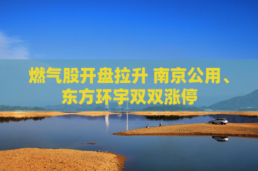 燃气股开盘拉升 南京公用、东方环宇双双涨停