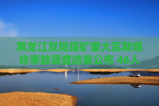 黑龙江双阳煤矿重大瓦斯爆炸事故调查结果公布 46人被处理