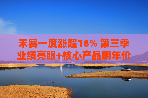 禾赛一度涨超16% 第三季业绩亮眼+核心产品明年价格将减半