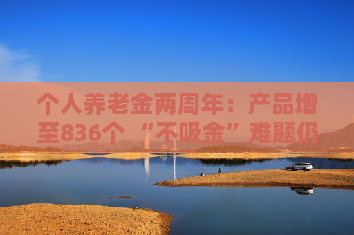 个人养老金两周年：产品增至836个 “不吸金”难题仍待解