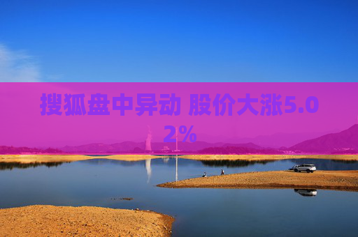 搜狐盘中异动 股价大涨5.02%