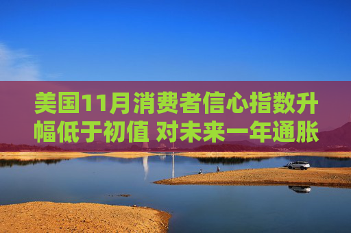 美国11月消费者信心指数升幅低于初值 对未来一年通胀预期下降