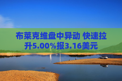 布莱克维盘中异动 快速拉升5.00%报3.16美元