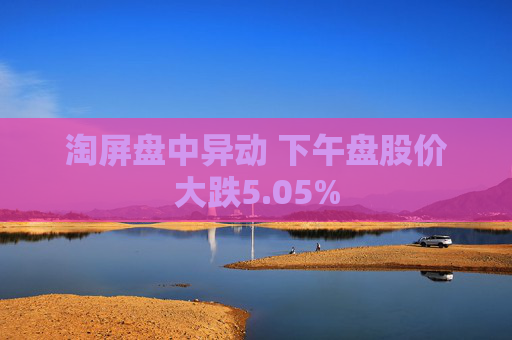 淘屏盘中异动 下午盘股价大跌5.05%
