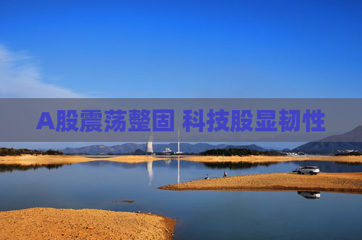 A股震荡整固 科技股显韧性