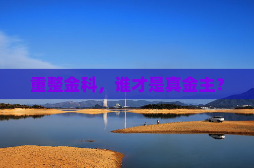 重整金科，谁才是真金主？