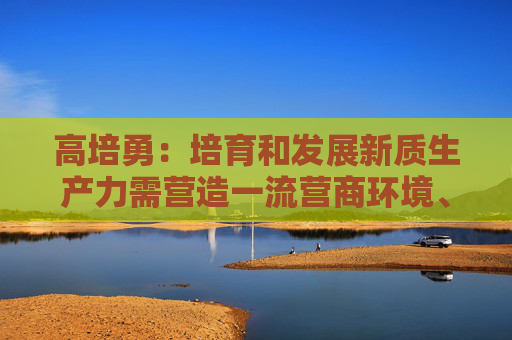 高培勇：培育和发展新质生产力需营造一流营商环境、稳定企业预期