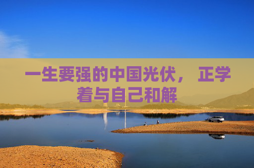 一生要强的中国光伏， 正学着与自己和解
