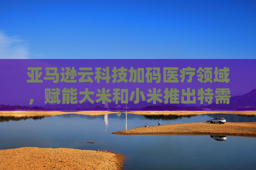 亚马逊云科技加码医疗领域，赋能大米和小米推出特需儿童AI解决方案