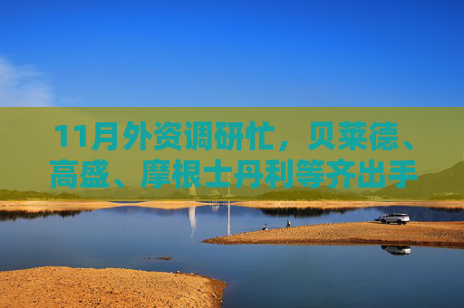 11月外资调研忙，贝莱德、高盛、摩根士丹利等齐出手
