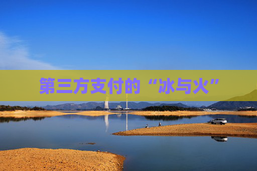 第三方支付的“冰与火”
