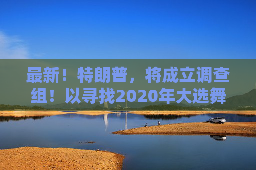 最新！特朗普，将成立调查组！以寻找2020年大选舞弊的证据