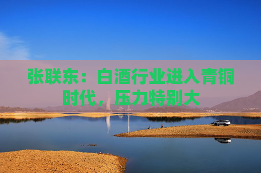 张联东：白酒行业进入青铜时代，压力特别大