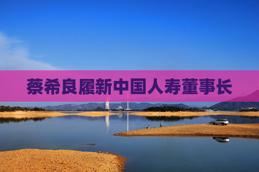 蔡希良履新中国人寿董事长