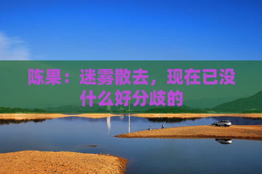 陈果：迷雾散去，现在已没什么好分歧的