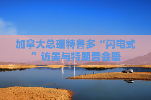 加拿大总理特鲁多“闪电式”访美与特朗普会晤