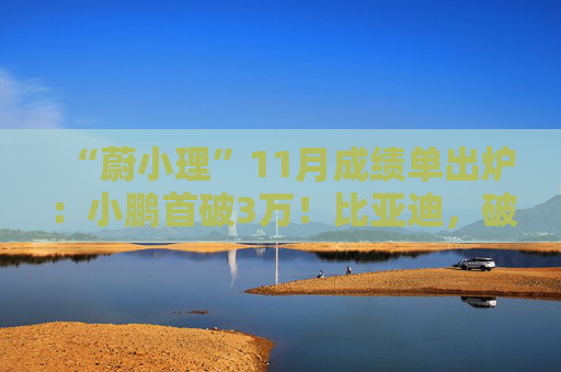 “蔚小理”11月成绩单出炉：小鹏首破3万！比亚迪，破50万！赛力斯、小米汽车也公布了