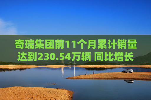 奇瑞集团前11个月累计销量达到230.54万辆 同比增长38.4%