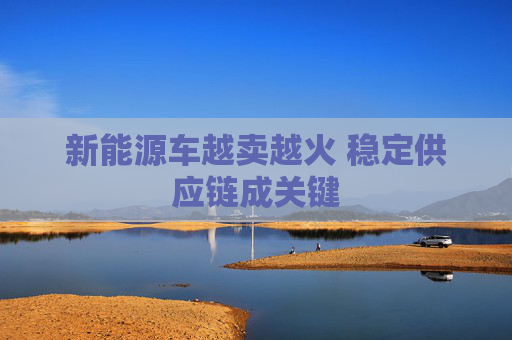 新能源车越卖越火 稳定供应链成关键
