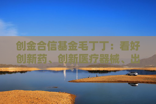 创金合信基金毛丁丁：看好创新药、创新医疗器械、出海产业链的投资机会