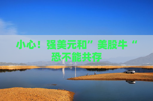 小心！强美元和”美股牛“恐不能共存