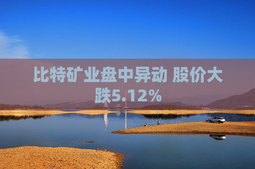 比特矿业盘中异动 股价大跌5.12%