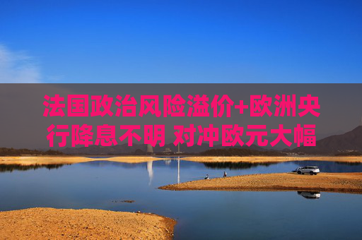 法国政治风险溢价+欧洲央行降息不明 对冲欧元大幅波动成本触及2023年3月以来新高