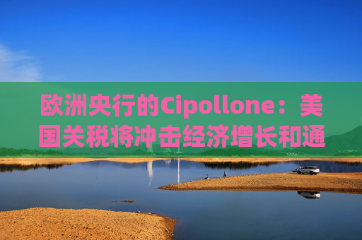 欧洲央行的Cipollone：美国关税将冲击经济增长和通胀