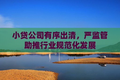 小贷公司有序出清，严监管助推行业规范化发展