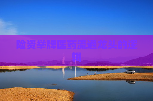 险资举牌医药流通龙头的逻辑