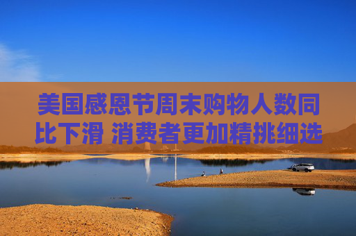美国感恩节周末购物人数同比下滑 消费者更加精挑细选