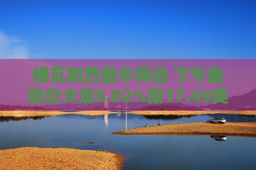 梯瓦制药盘中异动 下午盘股价大涨5.02%报17.49美元