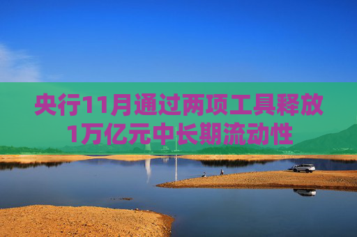 央行11月通过两项工具释放1万亿元中长期流动性
