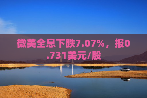 微美全息下跌7.07%，报0.731美元/股