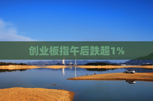创业板指午后跌超1%