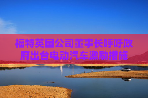 福特英国公司董事长呼吁政府出台电动汽车激励措施