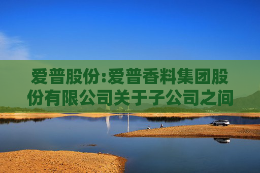 爱普股份:爱普香料集团股份有限公司关于子公司之间提供担保的公告