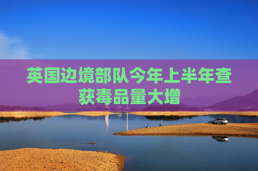 英国边境部队今年上半年查获毒品量大增