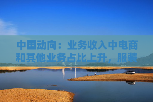 中国动向:业务收入中电商和其他业务占比上升,服装占比略有增加