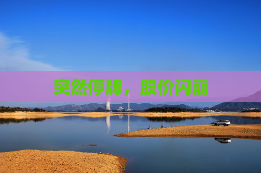 突然停牌，股价闪崩