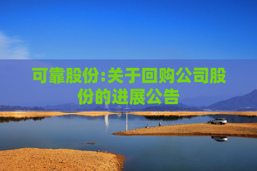 可靠股份:关于回购公司股份的进展公告