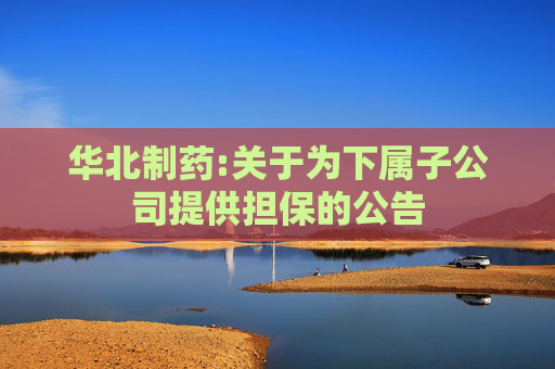 华北制药:关于为下属子公司提供担保的公告