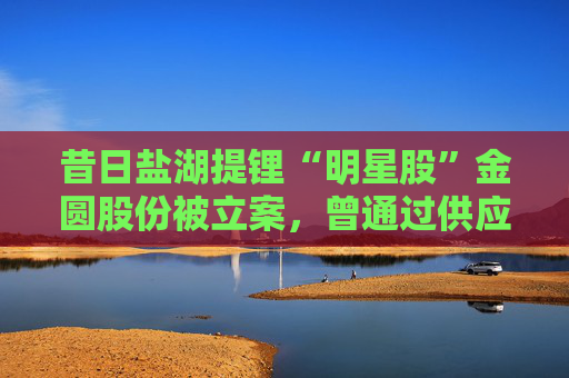 昔日盐湖提锂“明星股”金圆股份被立案，曾通过供应商给控股股东输送资金