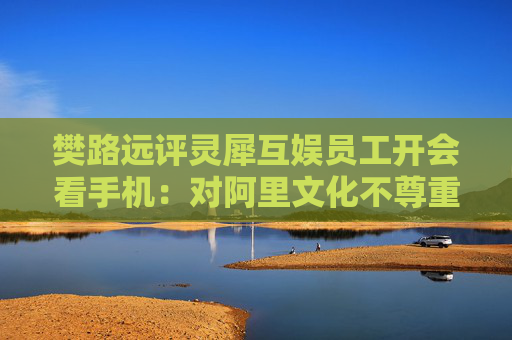 樊路远评灵犀互娱员工开会看手机：对阿里文化不尊重的臭毛病