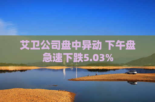 艾卫公司盘中异动 下午盘急速下跌5.03%