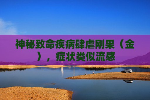 神秘致命疾病肆虐刚果（金），症状类似流感