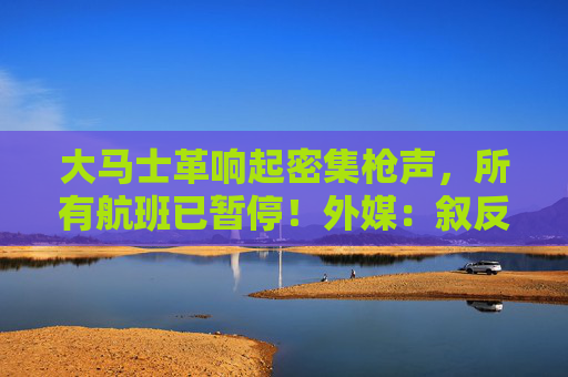 大马士革响起密集枪声，所有航班已暂停！外媒：叙反政府武装称开始入城