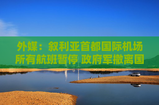 外媒：叙利亚首都国际机场所有航班暂停 政府军撤离国防总部