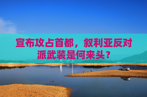 宣布攻占首都，叙利亚反对派武装是何来头？