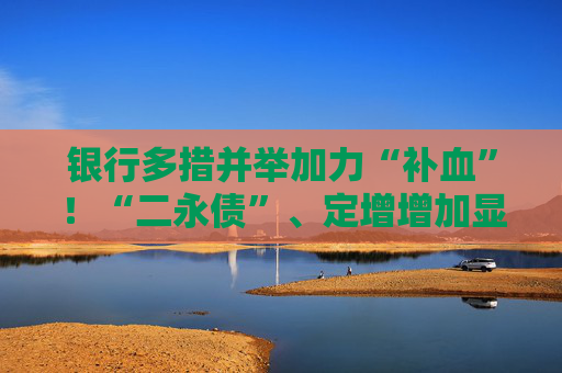 银行多措并举加力“补血”！“二永债”、定增增加显著
